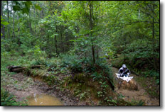 2010 Yamaha YFZ450X ATV