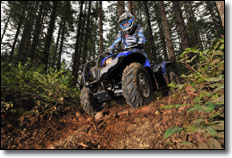 2011 Yamaha Grizzly 450 4x4 EPS Utility ATV