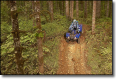 2011 Yamaha Grizzly 450 4x4 EPS Utility ATV