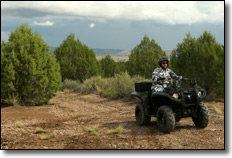 2013 Yamaha Grizzly 700 4x4 EPS Utility ATV Tactical Black
