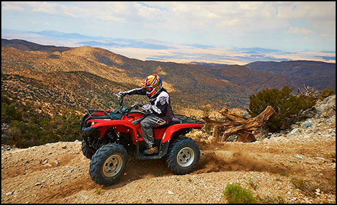 Yamaha Grizzly 700