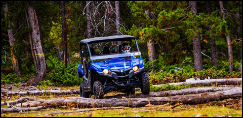 2014 Yamaha Viking 700