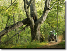 William Yokley Kawasaki KFX 450R ATV
